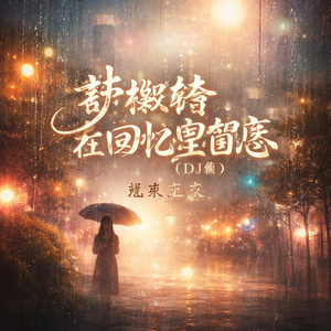 梦辗转在回忆里留恋(DJ版)