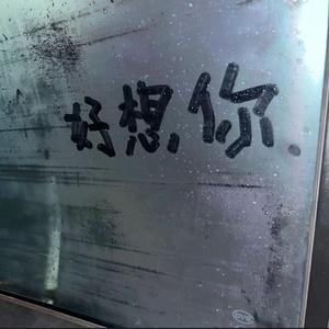 一个人想着一个人（2026说唱版）