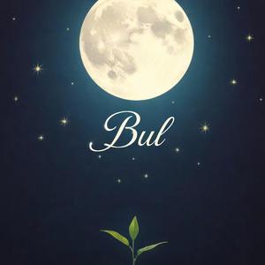 Bul (versiyon:2)