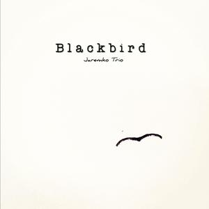 Blackbird