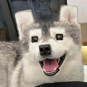 沉默是金（dj版）