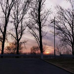 爱意东升西落浪漫至死不渝
