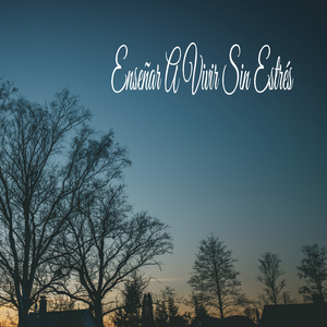 Trabajar Y Concentrarse