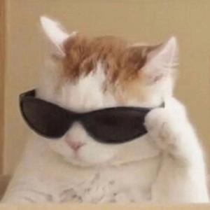 随便唱的不建议听