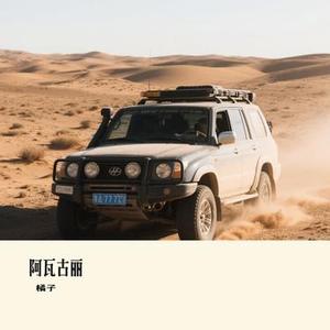 阿瓦古丽 (Cover 雷婷)