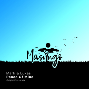 Peace of Mind (Intro Mix)