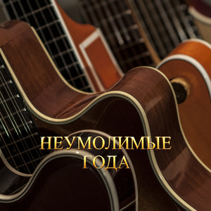 НЕУМОЛИМЫЕ ГОДА