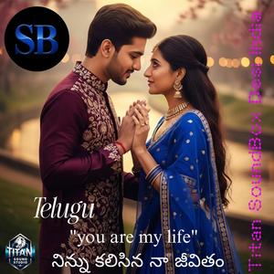 నిన్ను కలిసిన నా జీవితం (Ninnu Kalisi Na Jeevitam)