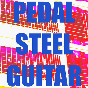 Pedal Steel Guitar (Dobro)