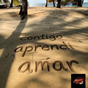 Contigo Aprendí amar