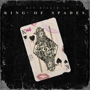 Sgija Principals (feat. Mafis MusiQ & Reelo TekniQ)