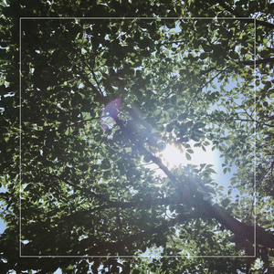 5PM, In Summer