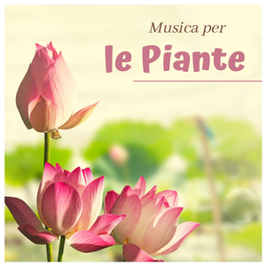 Consigli per la crescita delle piante