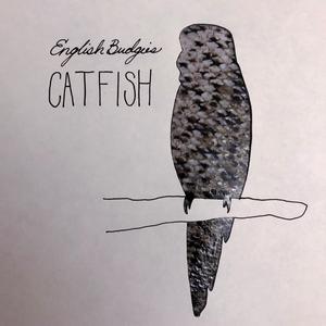 Catfish