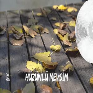HÜZÜNLÜ MEVSİM