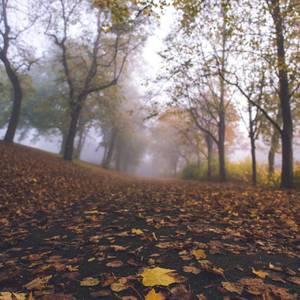 迁就(翻自 星弟）