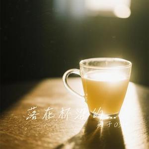 落在杯沿的光  (Cover 捷歌飞扬)