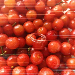 我想牵着你的手