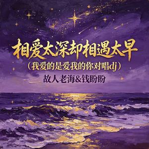 相爱太深却相遇太早（我爱的是爱我的你对唱dj）