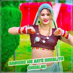Bagicho Me Aaye Chhaliya Chhalgo