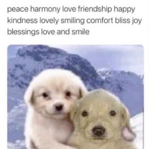 kumalala savesta (feat. krump & dogen)