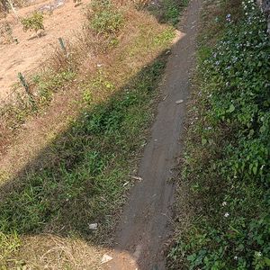 Yogurt is strawberry.