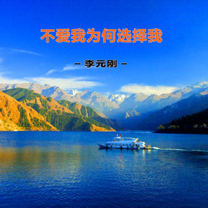 不爱我为何选择我