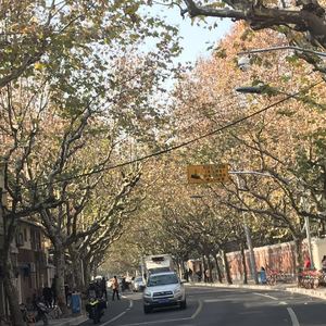 我的乐曲 8（翻自 吴维纯）