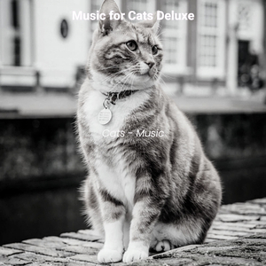 Cuddly (Training Cats)