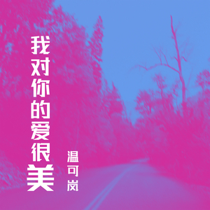 我对你的爱很美