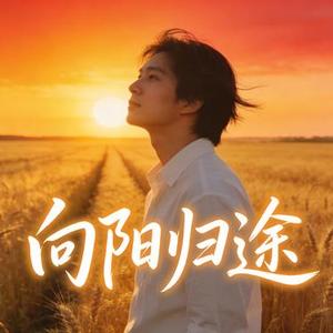 向阳归途