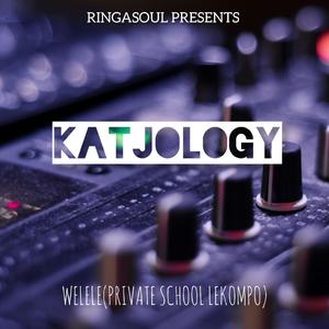 Welele(Private School Lekompo) (feat. Mpokfel)