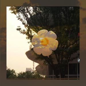 灯火与星光(prod.SINatrae)