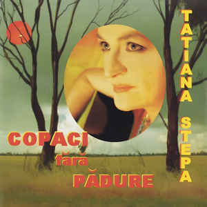 În Întâmpinarea Crăciunului