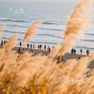 我会放下不舍和执着 (Remix)