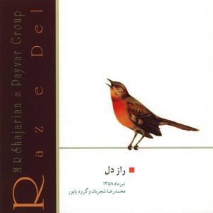 Donavazi (Tar Va Tonbak)