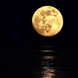 ใต้เงาแสงจันทร์