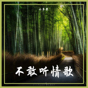 不敢听情歌