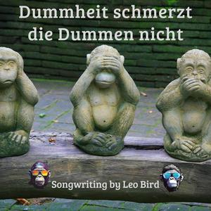 Dummheit schmerzt die Dummen nicht