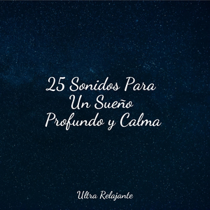 La Profundidad De Los Sueños