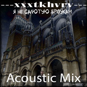 Я не салютую броукам (Acoustic Mix)