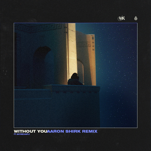 Without You (Aaron Shirk Remix)