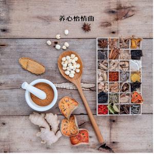 生命之源 (古琴)