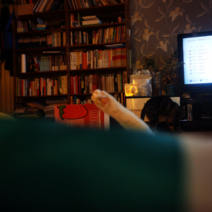 崇祯十七年后的雪梦