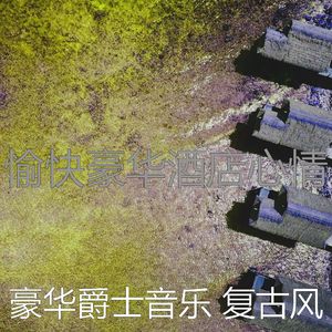 柔和的饭店时刻