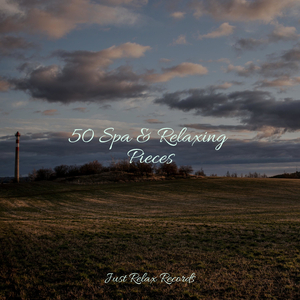 Cerulean Spellbinding Oasis