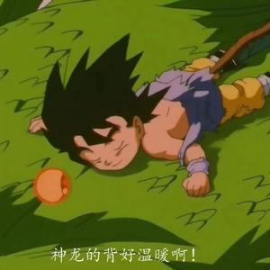 说句实话+magnolia