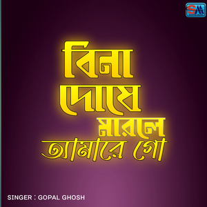 বিনা দোষে মারলে আমারে গো