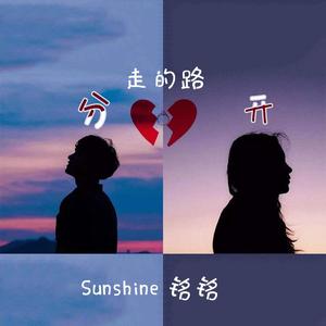 分开走的路