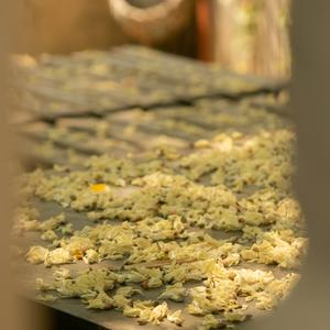 有你陪伴的夏天